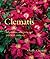 Clematis: Inspiration, Selection, and Practical Guidance