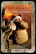 Sleeping in Flame