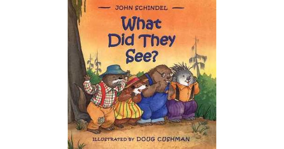 What Did They See? by John Schindel