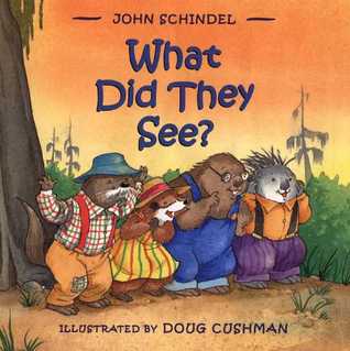 What Did They See? (Hardcover)