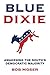 Blue Dixie: Awakening the S...