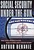 Social Security Under the Gun: What Every Informed Citizen Needs to Know About Pension Reform