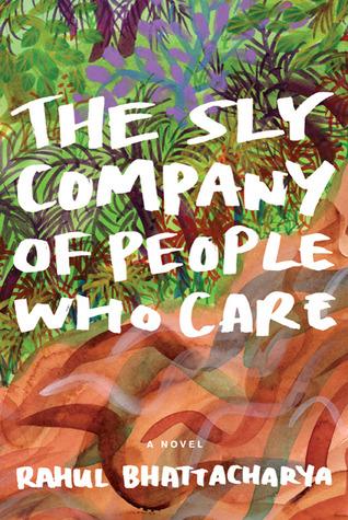 The Sly Company of People Who Care (Hardcover)