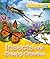 Explorers: Insects and Creepy-Crawlies: Insects and Creepy-Crawlies