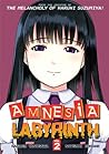 Amnesia Labyrinth, Vol. 2 by Nagaru Tanigawa