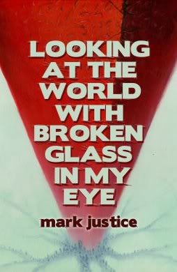 Looking at the World with Broken Glass in My Eye