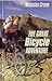 The Great Bicycle Adventure by Nicholas Crane