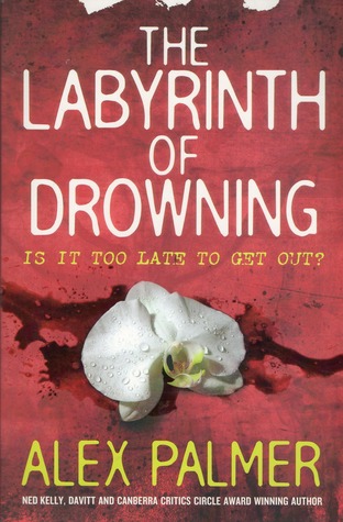 The Labyrinth of Drowning (Paperback)