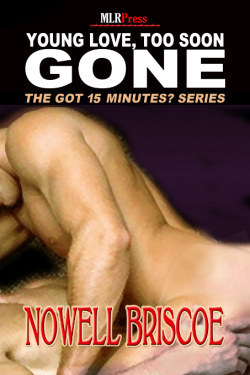 Young Love Too Soon Gone (ebook)