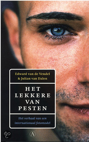 Het lekkere van pesten (Paperback)