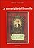 Le meraviglie del Duemila by Emilio Salgari