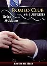 Surprises by Brita Addams