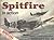 Supermarine Spitfire in Act...