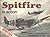 Supermarine Spitfire in Action - Aircraft No. 39 by Jerry Scutts