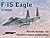 F-15 Eagle in action - Airc...