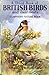 A Third Book of British Birds and Their Nests by Brian Vesey-Fitzgerald