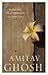 Dancing In Cambodia And Other Essays by Amitav Ghosh
