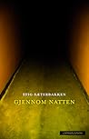Gjennom natten by Stig Sæterbakken
