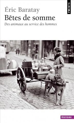 Bêtes De Sommedes Animaux Au Service Des Hommes