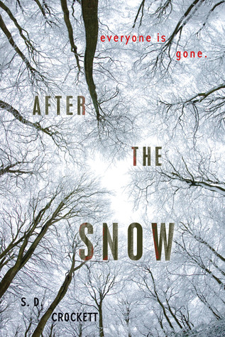 After the Snow (After the Snow, #1)