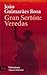 Gran Sertón: Veredas