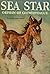 Sea Star: Orphan of Chincot...