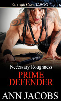 Prime Defender (Necessary Roughness, #4)