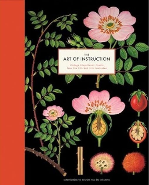 The Art of Instruction: Vintage Educational Charts from the 19th and 20th Centuries