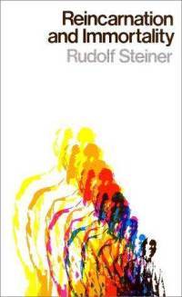 Reincarnation and Immortality (Paperback)