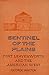Sentinel of the plains: Fort Leavenworth and the American West (The American forts series)