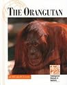The Orangutan (Endangered Animals & Habitats)