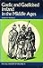 Gaelic and Gaelicised Ireland in the Middle Ages