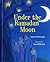 Under the Ramadan Moon