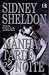 Manhã, Tarde & Noite by Sidney Sheldon