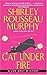 Cat Under Fire (Joe Grey, #2)