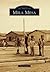 Mira Mesa by Pam Stevens