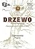 Drzewo