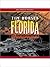 Florida Roadkill: Serge Storms Series, Book 1