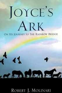 41+ The Rainbow Bridge Book Background