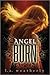 Angel Burn by L.A. Weatherly