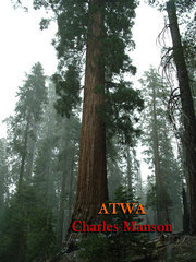 ATWA (Paperback)