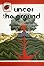 Under the Ground (Ladybird Leaders)