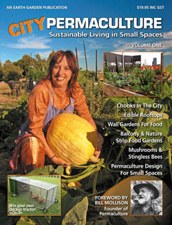 City Permaculture: Sustainable Living in Small Spaces Vol 1