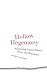 Hollow Hegemony: Rethinking Global Politics, Power and Resistance