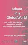 Labour in a Global World: Case Studies from the White Goods Industry in Africa, South America, East Asia and Europe (Future of Work)