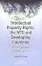 Intellectual Property Rights, the WTO and Developing Countries: The TRIPS Agreement and Policy Options