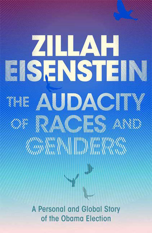 The Audacity of Races and Genders: A Personal and Global Story of the Obama Election (Hardcover)