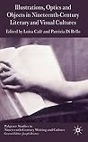Illustrations, Optics and Objects in Nineteenth-Century Literary and Visual Cultures (Palgrave Studies in Nineteenth-Century Writing and Culture)