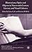 Illustrations, Optics and Objects in Nineteenth-Century Literary and Visual Cultures (Palgrave Studies in Nineteenth-Century Writing and Culture)