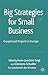 Big Strategies for Small Business: Exceptional Projects in Europe